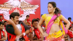 印度群星 - One And Only Lion