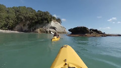 Arrival Of The Birds