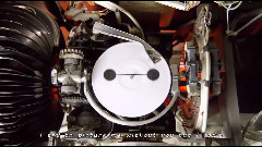 Fall Out Boy - Immortals