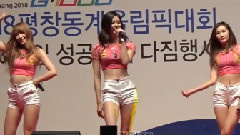 G-1000平昌冬季奥运会的庆祝活动