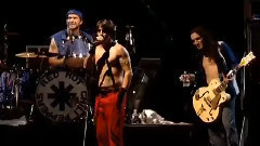 Red Hot Chili Peppers - Havana Affair