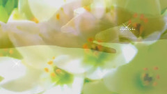 Omar Akram - My Desire