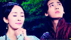 孔雀东南飞 古装剧情侣唯美虐恋群像