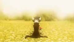 Nico - 故に,おちた理由.