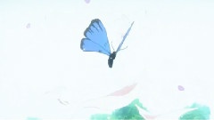 一场绮梦泪相似 综漫MAD 中日字幕