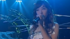 乌龟组合 - 四季