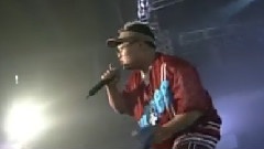 乌龟组合 - 四季