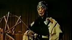 范琳琳 - 仙姿香韵领群芳