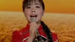 王二妮 - 访问 & 表演