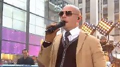 Pitbull - Back In Time