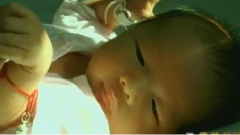 陈红 - 感恩的心