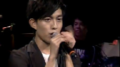 看见什么吃什么