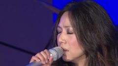 万芳 - 新不了情