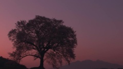 哏德全 - 侗乡之夜