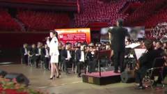 常思思 - 红梅赞