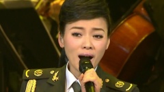 陈思思 - 我爱你中国