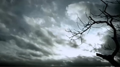 Sophie Zelmani - Breeze