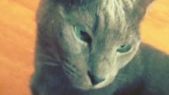 东海Instagram更新