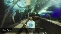 Taylor Swift - The Story of Us