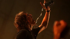 The Word Alive - Life Cycles