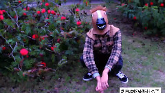 不吃早餐才是一件很嘻哈的事