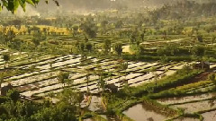 Bandari,轻音乐,风景,音乐短片 - The Last Unicorn