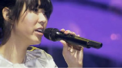 王若琳 - Times Of Your Life