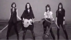 樱桃帮 - 公平交易