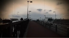 Nico - 造花の距離感(のぶなが)