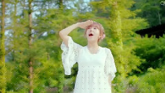 Secret Garden(秘密花园)