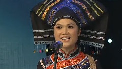 民乐群星 - 月亮