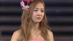 桜の花びらたち