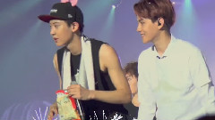 Christmas Wonderland