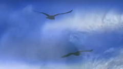 Stamatis Spanoudakis - Her Eyes Filled With Tears