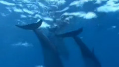 Stamatis Spanoudakis,音乐短片 - Playing With Waves