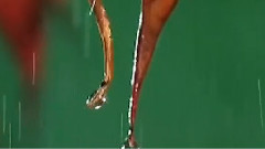 Stamatis Spanoudakis - Rainy Dusk At Bosphorus