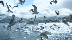 Secret Garden - Hymn To Hope