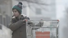 Zebra Dots - Walking On A Chance