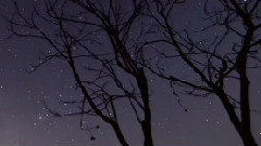 I've Never Been To Me