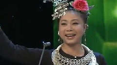 民乐群星 - 家乡是个好地方