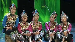 民乐群星 - 阿色调