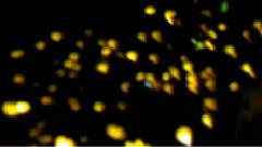 G-Dragon(BigBang) - 我只在乎你