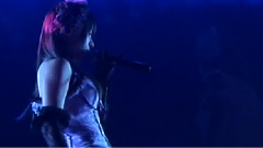 おしべとめしべと夜の蝶々