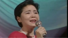 テレサテン 15周年記念