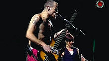 呛红辣椒乐队,Red Hot Chili Peppers - Red Hot Chili Peppers - So Much I 现场版