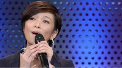 赵咏华 - 新不了情