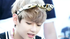 首尔清凉里签名会