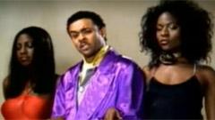 Shaggy - It Was't Me