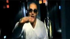 Pitbull - Blanco
