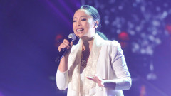 妹妹找哥泪花流